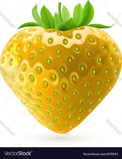 Yellow strawberry Royalty Free Vector Image - VectorStock