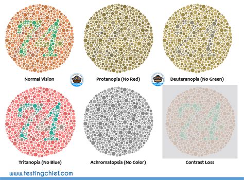 Color Contrast Testing - Testing Chief