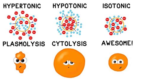 Diagram Show How Water Atomise Define Water Cycle