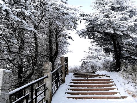 The Snowy Spectacle Of The Taebaek Mountains