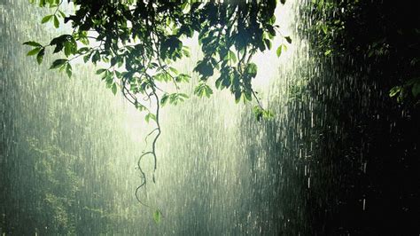 Spring Rain Wallpapers - Top Free Spring Rain Backgrounds - WallpaperAccess