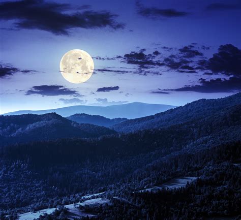 Forest Night Moon Clouds 4k Wallpaper,HD Nature Wallpapers,4k ...