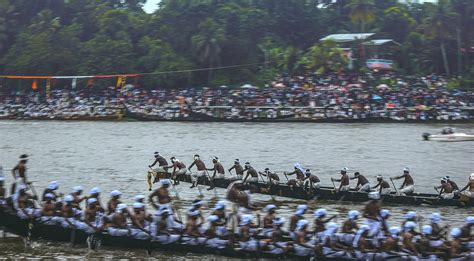 Aranmula Boat Race Pamba River - Free photo on Pixabay - Pixabay