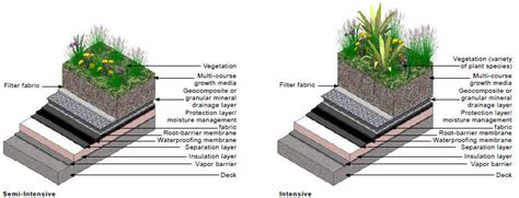 Intensive Green Roof Design | #The Expert