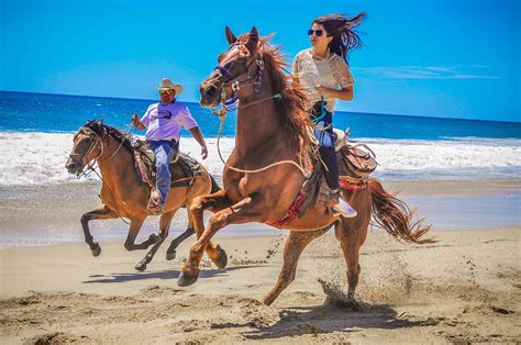 Excursions in Cabo San Lucas - Los Cabos Passport