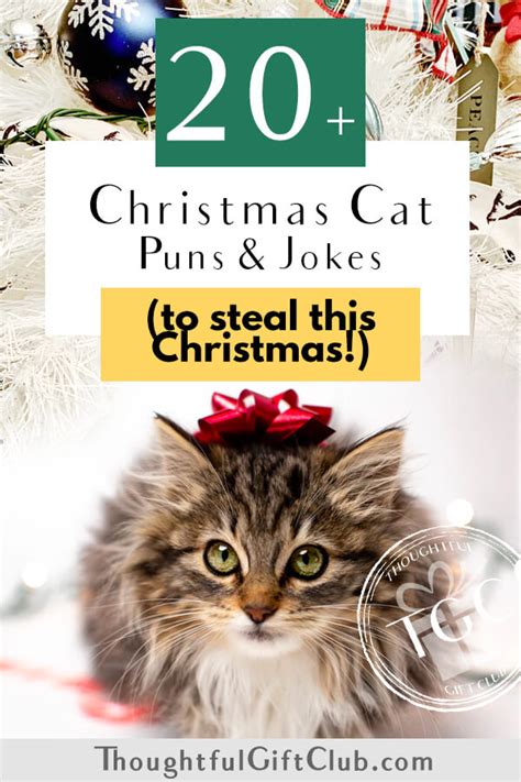 20+ Christmas Cat Puns for the Purr-fect Instagram Captions