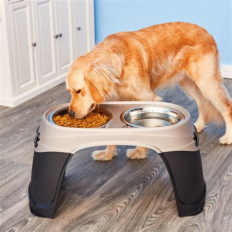 Best Elevated Dog Food Bowls at Danny Mendoza blog