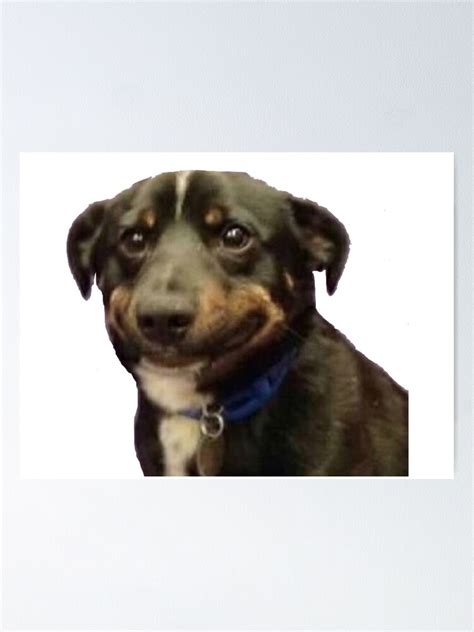 "awkward dog smile meme" Poster for Sale by Jennie Jacobs | Redbubble