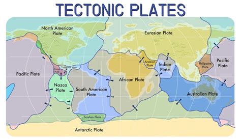 Premium Vector | Map of tectonic plates and boundaries