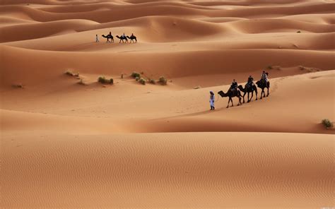 Sahara Desert HD Wallpapers - Wallpaper Cave