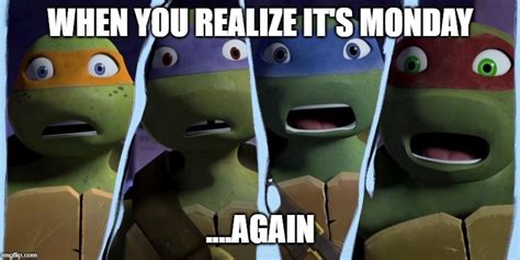 Ninja Turtle Meme Generator