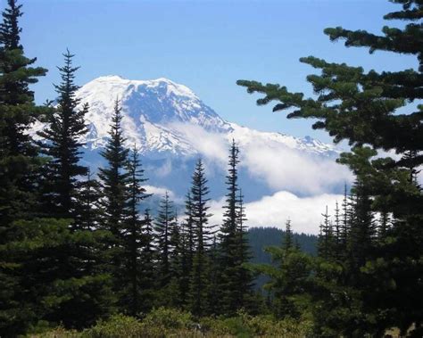 7 Best Mount Rainier Hiking Trails for Easy to Moderate Adventures