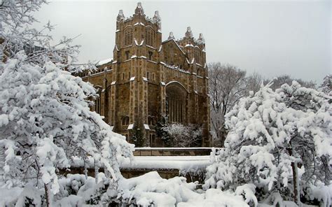 Winter in Ann Arbor, Michigan photo on Sunsurfer