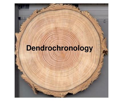 Dating Methods Dendrochronology – Telegraph