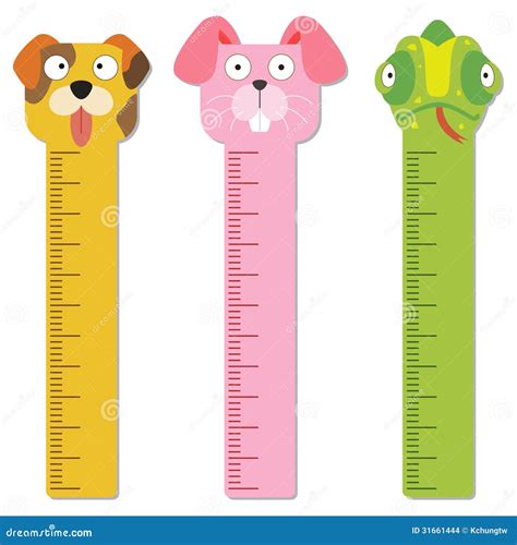 Meter Wall Or Height Chart With Funny Animals Vector Illustration ...