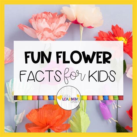 Daffodils Flower Fun Facts | Best Flower Site