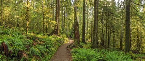 Go Camping Near These 5 Easy Hiking Trails