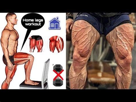 Home legs workout leg exercises 💢تمارين الارجل في البيت | Leg workout ...