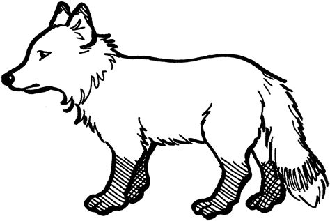 Fox Drawings Outline Coloring Pages