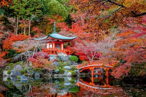 Autumn in Japan: 2024 Fall Foliage Forecast | JRailPass