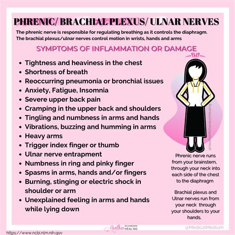 The phrenic nerve runs from the brain stem through your neck into each ...