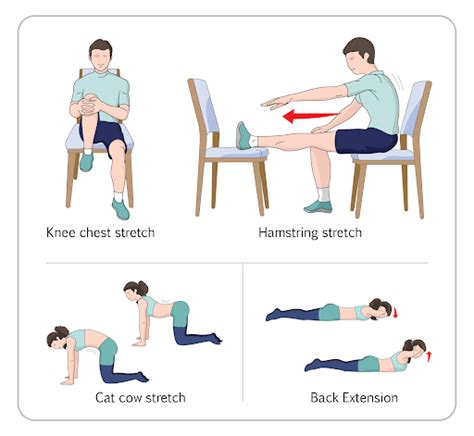 10 Degenerative Disc Disease Exercises You Can Try