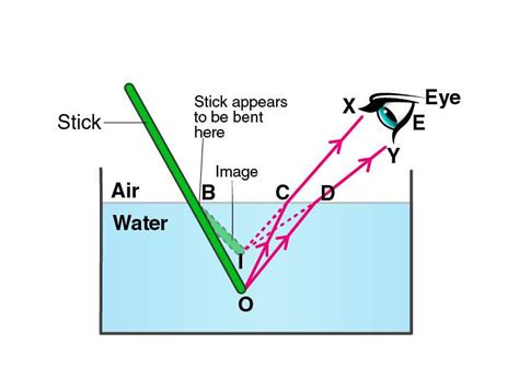 Explaining the labeled diagram of refraction