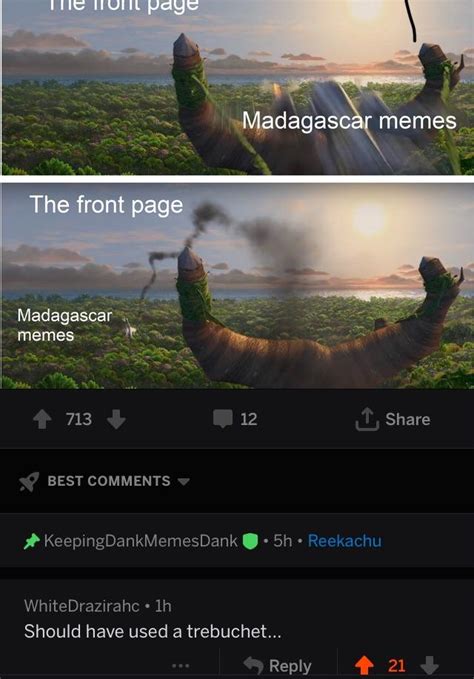 Madagascar Memes Be Like | Scrolller