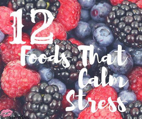 12 Foods That Calm Stress -CatchyFreebies