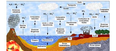 Ecología - Dinámica de los ecosistemas - Ciclo del Azufre