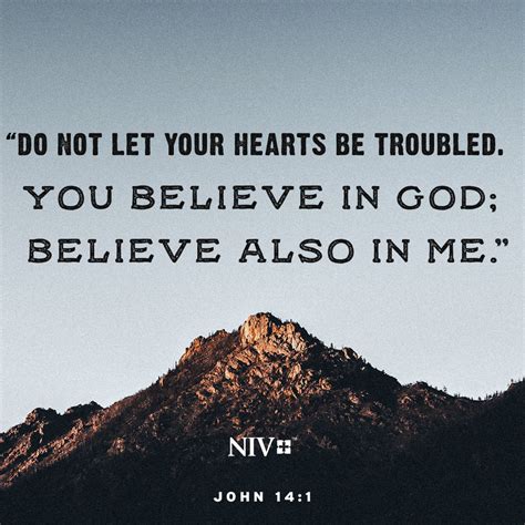 NIV Verse of the Day: John 14:1-3