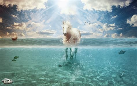 Water horse by Grau23 on DeviantArt