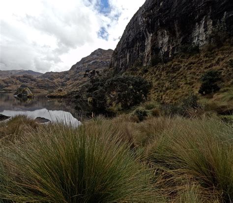 Andes Ecuador Mountains - Free photo on Pixabay