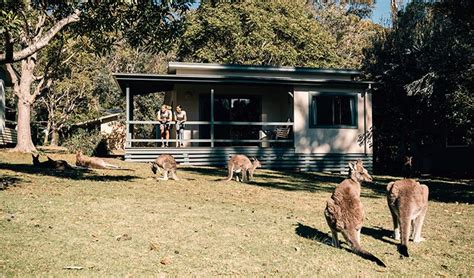 Depot Beach cabins | NSW National Parks