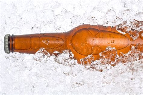 Ice cold beer stock image. Image of brew, alcohol, beer - 5700019