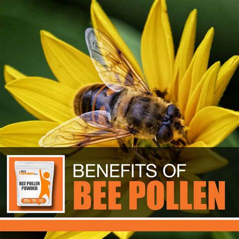 The Buzz on Bee Pollen: The Benefits of Bee Pollen Powder