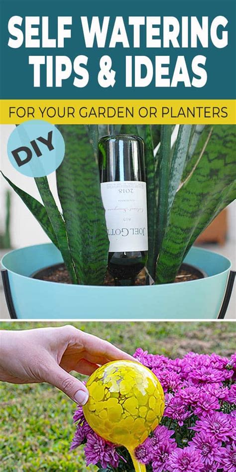 5 DIY Self Watering Ideas for your Garden or Planters! • The Garden Glove