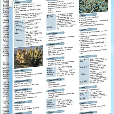 Herbal Medicine Chart (Doublesided, 8.5" x 11") – Eastern Currents