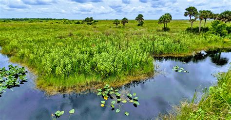 This Florida Wildlife Refuge Is A Nature Lover's Dream With Untouched ...