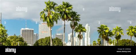 Skyline, centre of the city, Miami, Miami-Dade county, Florida, the USA ...