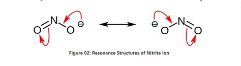 News - Difference Between Nitrate And Nitrite