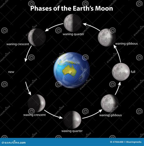 Phases Of The Earth's Moon Stock Vector - Image: 47066488