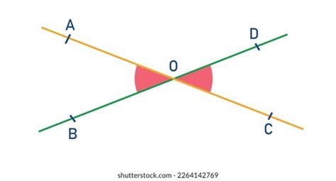 Vertically Opposite Angles