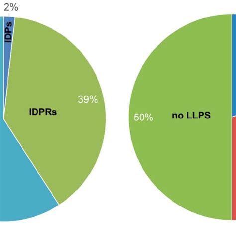 Diagram presenting identified the molecular functions of LLPS-related ...