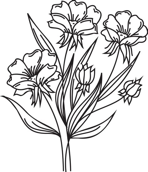 Flower line art illustration with black thin line. PNG with transparent ...