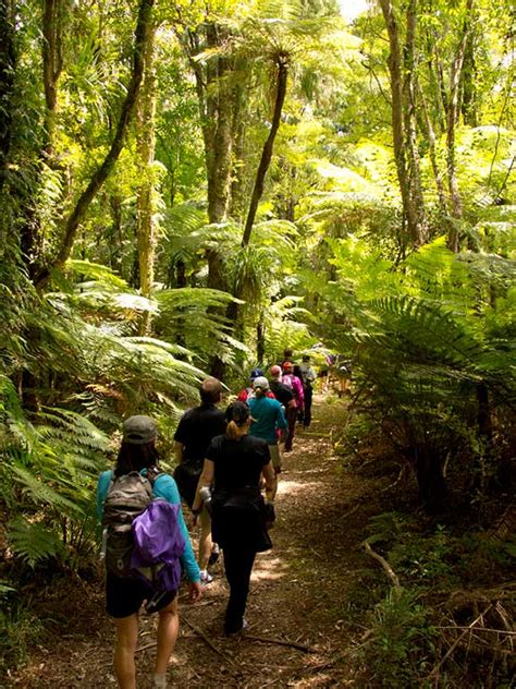 New Zealand Hiking Tours | New Zealand Walking Tours | Backroads