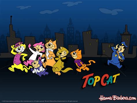 Top Cat Wallpaper - Top Cat Wallpaper (3741170) - Fanpop