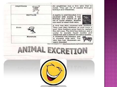 Animal excretion