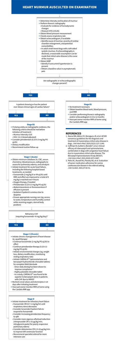 Management of Myxomatous Mitral Valve Disease