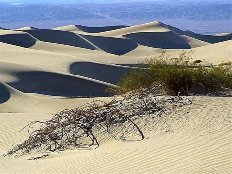 Free picture: sand, dunes, desert